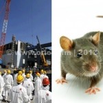 japan-mouse-stoped-nucler-station