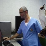 birds-abudabi-hospital (1)