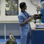 birds-abudabi-hospital (3)