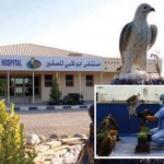 birds-abudabi-hospital (4)