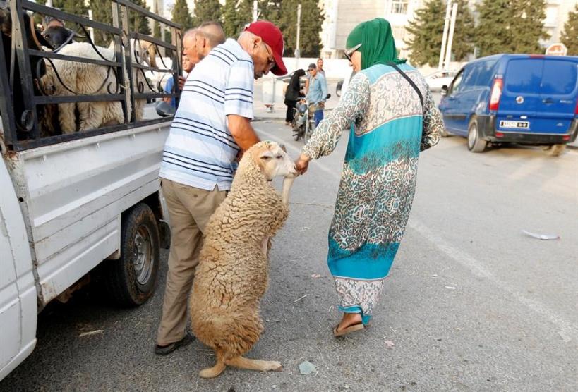 بالصور: عيد الأضحى.. دول مختلفة وعادات متشابهة