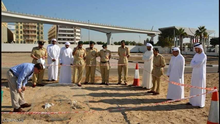 علم الحشرات .. أحدث وسائل شرطة دبي لكشف غموض الجرائم