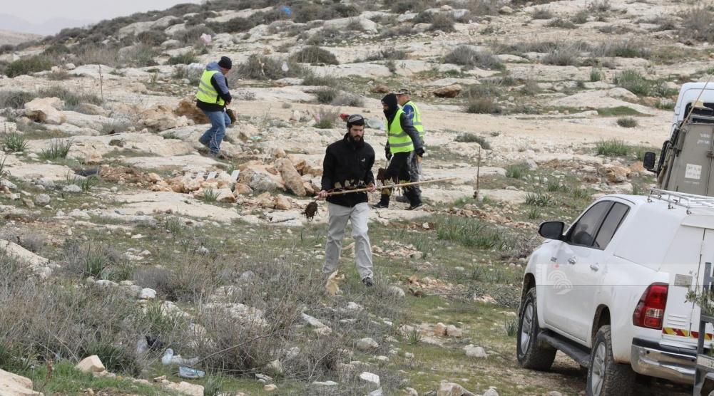 مستعمرون يحرثون أراضي زراعية في الخضر جنوب بيت لحم